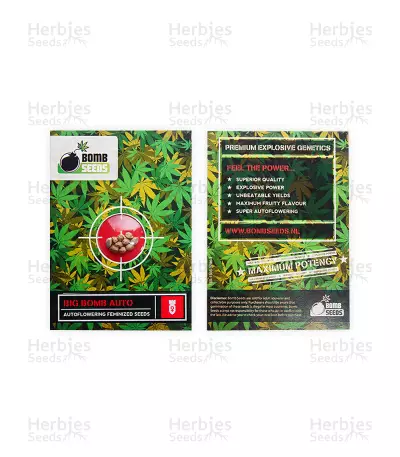 Big Bomb Auto (Bomb Seeds) Cannabis-Samen