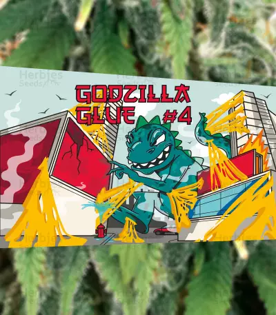 Godzilla Original Glue GG#4 feminisierte Samen (Herbies Seeds)