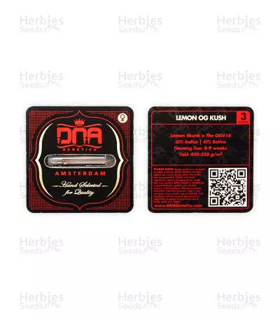 Lemon OG Kush (DNA Genetics) Cannabis-Samen