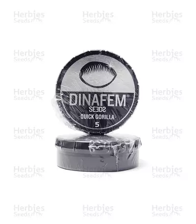 Quick Gorilla (Dinafem Seeds) Cannabis-Samen