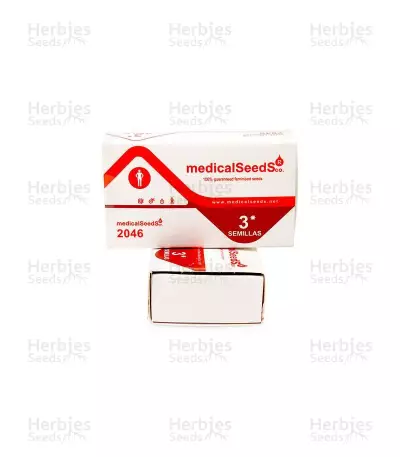 2046 (Medical Seeds) Cannabis-Samen