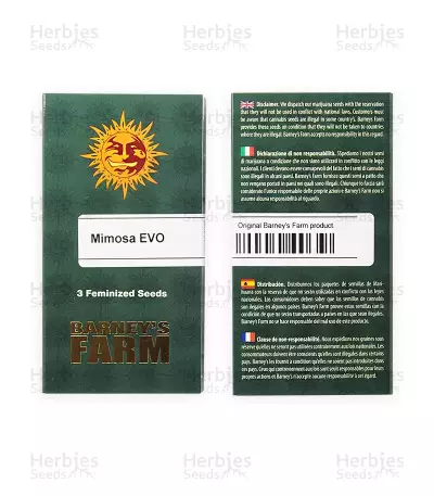 Mimosa EVO feminisierte Samen (Barney's Farm)