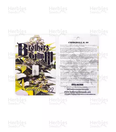 Cinderella 99 Regular (Brothers Grimm Seeds) Cannabis-Samen