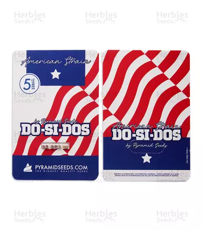 Do-Si-Dos (Pyramid Seeds) Cannabis-Samen