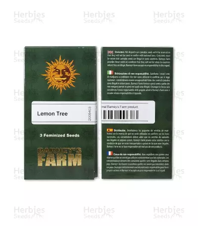 Lemon Tree Samen feminisiert (Barney's Farm)