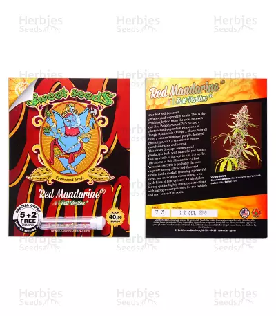 Buy Red Mandarine F1 Fast Version strain seeds