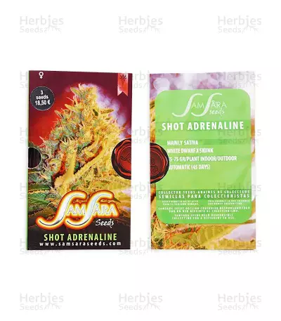 Shot Adrenaline Auto (Samsara Seeds) Cannabis-Samen