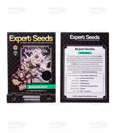 Gorilla Auto (GG#4 Original Glue Auto) (Expert Seeds) Cannabis-Samen