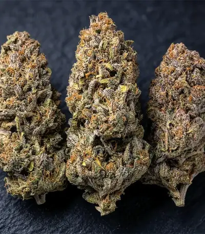 LFG (Barney's Farm)