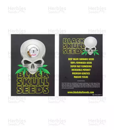 Pineapple Gum (Blackskull Seeds) Cannabis-Samen