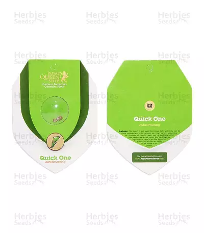 Quick One Auto (RQS) Cannabis-Samen