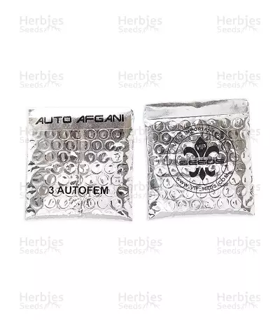 Auto Afghani (VIP seeds) Cannabis-Samen