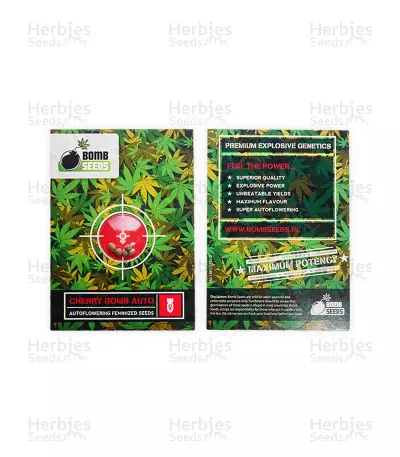 Cherry Bomb Auto (Bomb Seeds) Cannabis-Samen