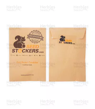 Girl Scout Cookies Autoflower (Seedstockers) Cannabis-Samen