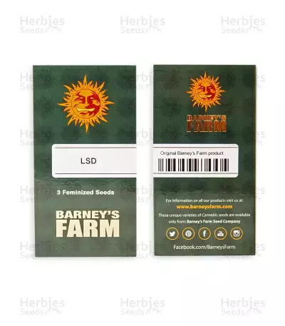 LSD feminisierte Samen (Barney’s Farm)