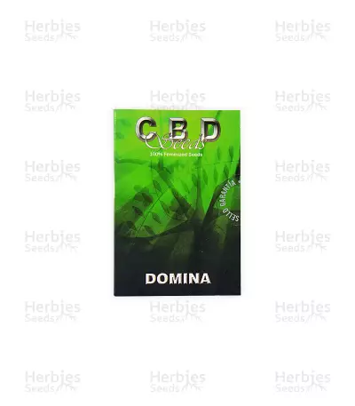 Domina (CBD Seeds) Cannabis-Samen