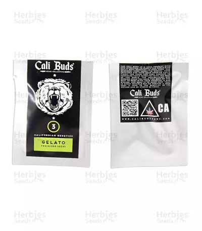Gelato (Cali Buds Seeds) Cannabis-Samen