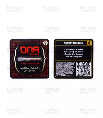 Sorbet Dreams (DNA Genetics) Cannabis-Samen
