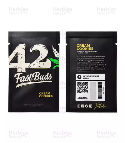 Cream Cookies Auto (Fast Buds) Cannabis-Samen