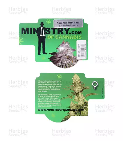 Mandarin Haze Auto (Ministry Of Cannabis) Cannabis-Samen
