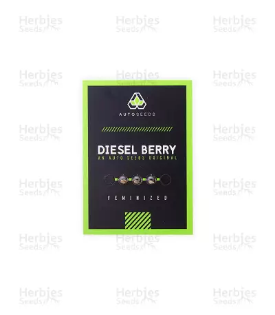Diesel Berry Auto (Auto Seeds) Cannabis-Samen