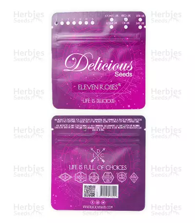 Eleven Roses feminisierte Samen (Delicious Seeds)