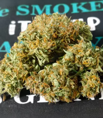 Exodus Cheese Auto CBD (GHS) Cannabis-Samen