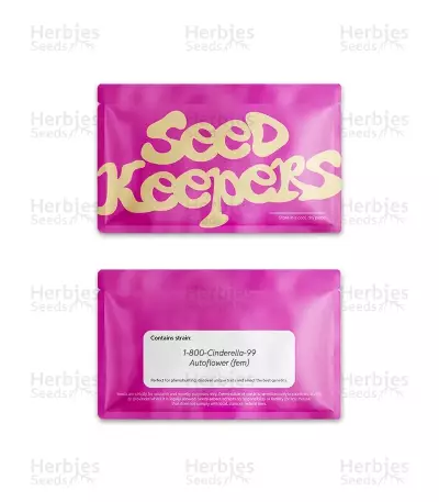 1-800-Cinderella-99 Autoflower feminisierte Samen (Seedkeepers)