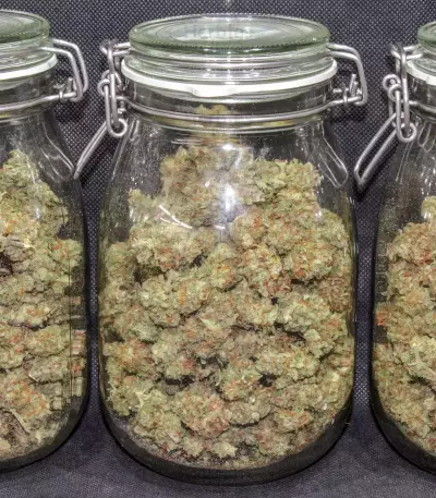 Original Auto Cheese (Fast Buds) Cannabis-Samen