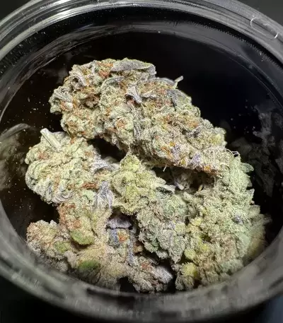 Runtz x Layer Cake feminisierte Samen (Barney's Farm)