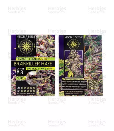 Brainkiller Haze (Vision Seeds) Cannabis-Samen