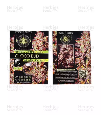 Choco Bud (Vision Seeds) Cannabis-Samen