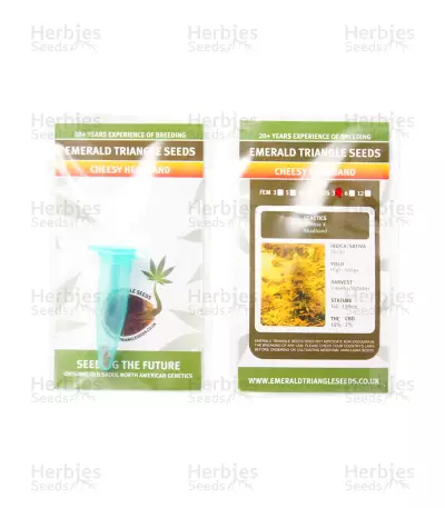 Cheesy Headband regular (Emerald Triangle Seeds) Cannabis-Samen