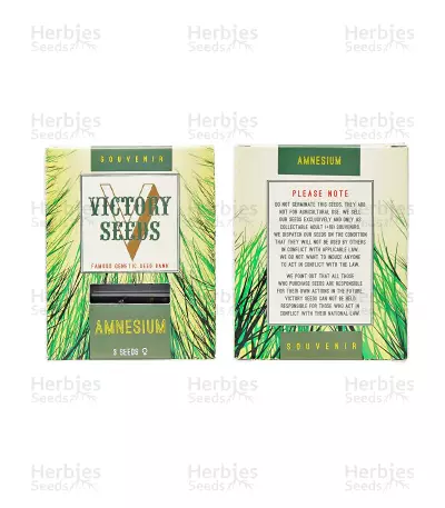 Amnesium (Victory Seeds) Cannabis-Samen