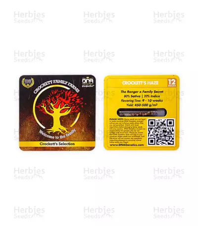 Crockett's Haze regular (DNA Genetics) Cannabis-Samen