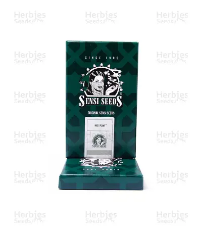 Hash Plant regular (Sensi Seeds) Cannabis-Samen