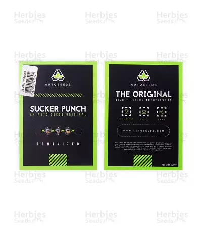 Sucker Punch Auto (Auto Seeds) Cannabis-Samen