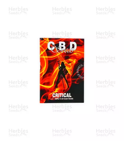 Critical (CBD Seeds) Cannabis-Samen