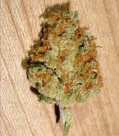 Silver Bubble (Reserva Privada) Cannabis-Samen
