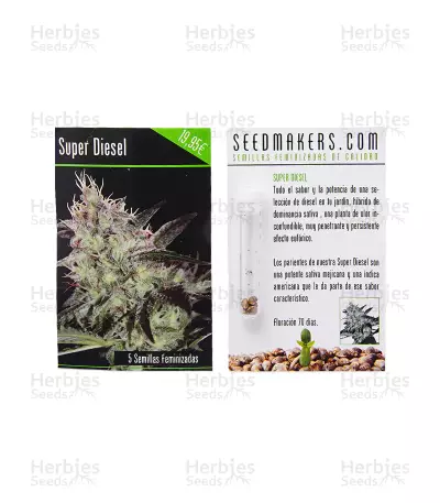 Super Diesel (Seedmakers Seeds) Cannabis-Samen