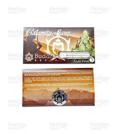 Calamity Jane Auto (Buddha Seeds)