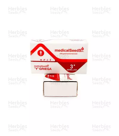 Y Griega (Medical Seeds) Cannabis-Samen