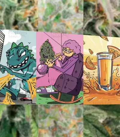 Heavy Kickers Mix feminisierte Samen (Herbies Seeds)