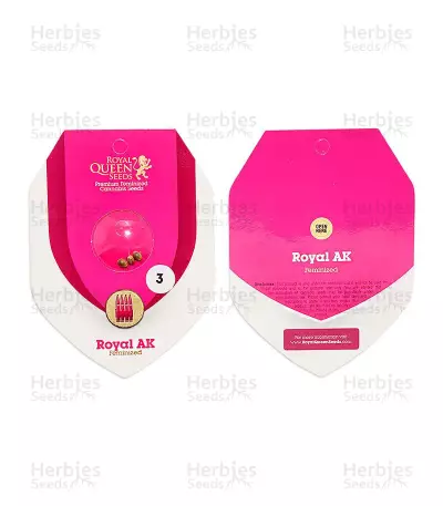 Royal AK (RQS) Cannabis-Samen