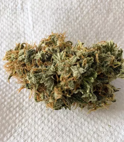 Alien OG strain