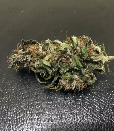 Lemonberry Haze Auto (Original Sensible Seeds) Cannabis-Samen