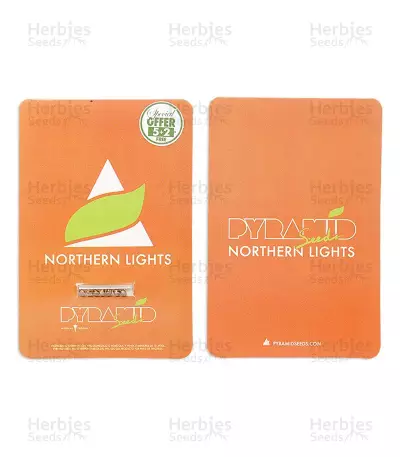 Northern Lights (Pyramid Seeds) Cannabis-Samen