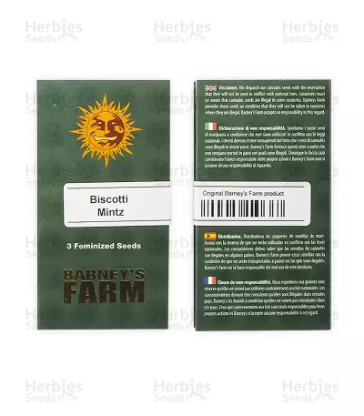 Biscotti Mintz Samen feminisiert (Barney's Farm)