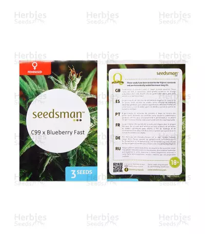 C99 X Blueberry Fast (Seedsman Seeds) Cannabis-Samen