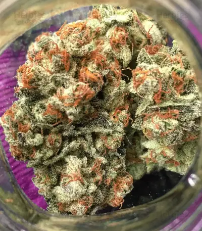 Cookie Dawg (Big Head Seeds) Cannabis-Samen